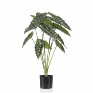 Artificial Alocasia H80cm in pot