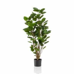 Artificial Polyscias Tree H105cm