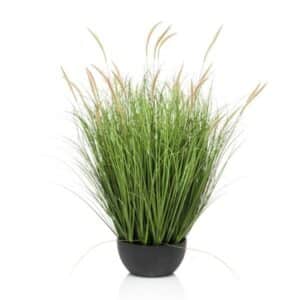 Artificial Pennisetum Grass In Bowl H80cm
