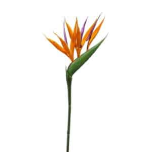 Artificial Strelitzia Mini Spray 65cm Orange