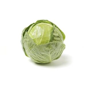 Cavolo Cappuccio (Green Cabbage) 12 Seedlings