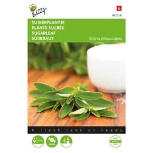 Buzzy® Stevia (sugarleaf)