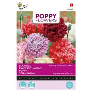 Buzzy® Poppy Flowers, Opium Poppy Peony Flowered