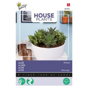 Buzzy® House Plants Aloe Mixed Varieties