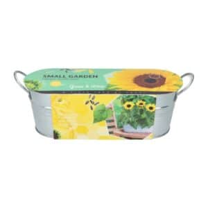 Buzzy® Small Garden Happy Sunflower Grow Kit
