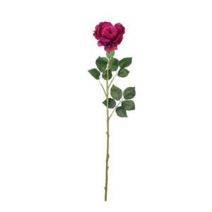 Artificial English Rose Purple - L77cm