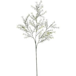 Artificial Asparagus Branch Green - 66cm