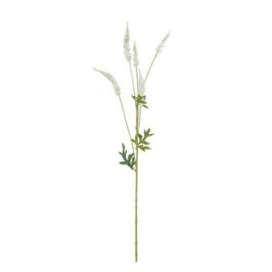 Artificial Astilbe Cream - 81cm