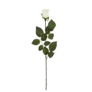 Artificial Rose Venus Cream - 64cm