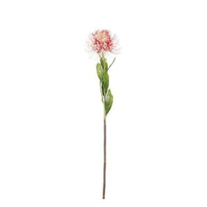 Artificial Protea Red - 60cm