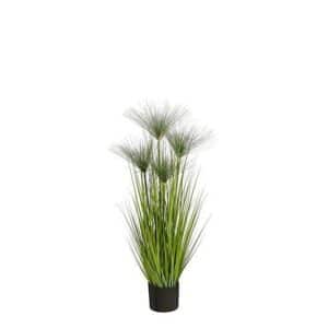 Papyrus in plastic pot green - h102xd15cm