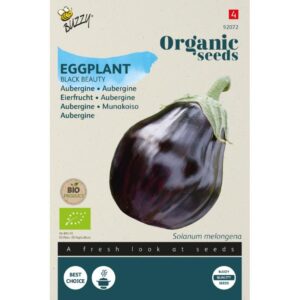 Buzzy® Organic Aubergine Black Beauty (bio)