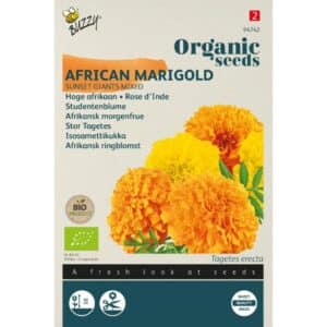 Buzzy® Organic Tagetes, African Sunset Giants(bio)