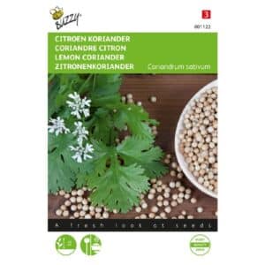 Buzzy® Lemon Coriander