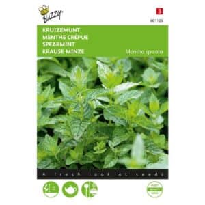Buzzy® Mint Spearmint