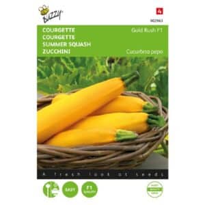 Buzzy® Summer Squash Gold Rush F1