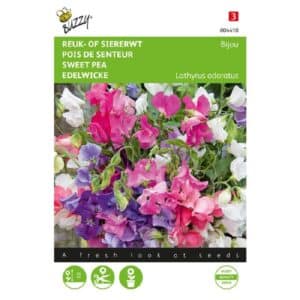 Buzzy® Lathyrus, Sweet Pea Bijou