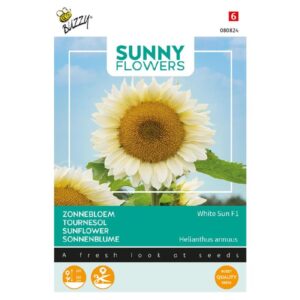 Buzzy® Sunny Flowers, Sunflower White Sun F1
