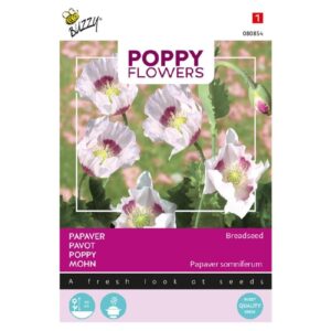 Buzzy® Poppy Flowers, Papaver Blue