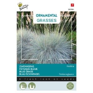 Buzzy® Ornamental Grasses, Fescue 'festina'
