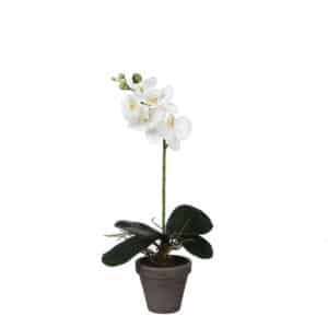 Artificial Phalaenopsis in Pot 13cm H48cm