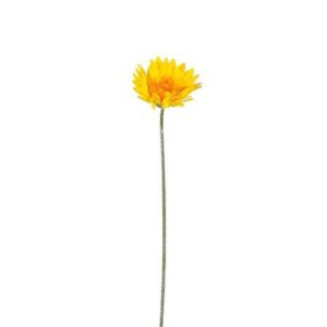Gerbera Yellow - l64cm