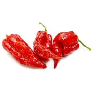 Pepperone Piccante Naga Viper in Pot 16cm