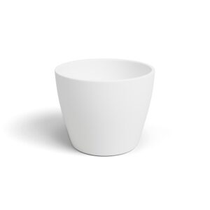 Nubia Cactus Pot 9cm White