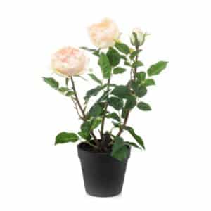Artificial Rose Peach H40cm in Pot