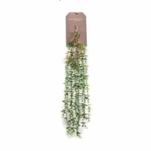 Artificial Eucalyptus Hanging Bush Green 95cm