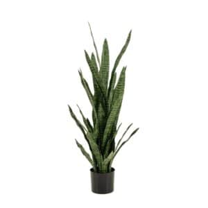 Artificial Sansevieria Green H115cm