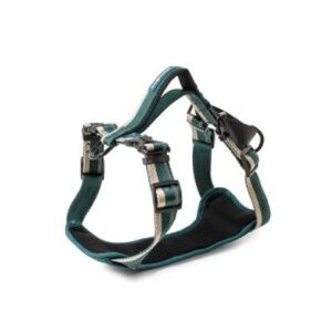 Nylon Deluxe Reflect Secur Fit Harness Petrol blue