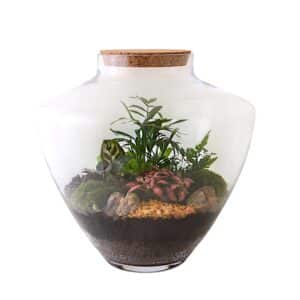 Terrarium Arrangement Jar V-Shape 28cm