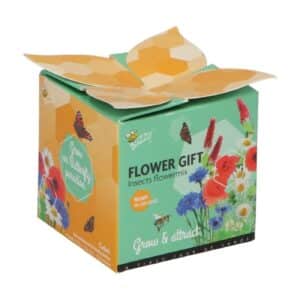 Buzzy® Flower Gift Insect Flower mix