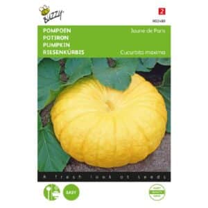 Buzzy® Pumpkin Yellow Giants