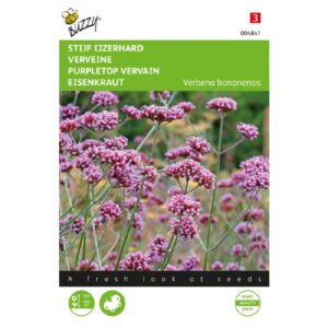 Buzzy® Verbena, Stiff Ironhard