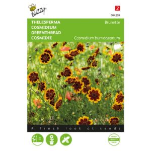 Buzzy® Cosmidium, Thelesperma Brunette