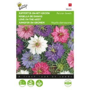 Buzzy® Nigella, Lady-in-the-Green Persian Jewels