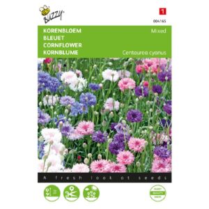 Buzzy® Centaurea, Cornflower double flowered mixed