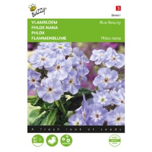 Buzzy® Phlox, Flame Flower Blue Beauty