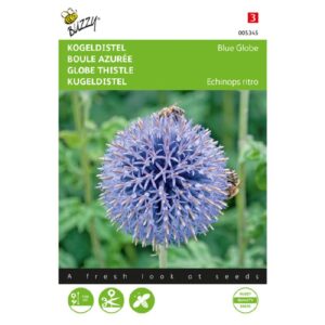 Buzzy® Echinops, Globe Thistle Blue Globe