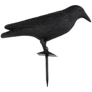 Kinzo Artificial Crow