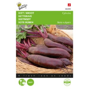 Buzzy® Beet / Kroot Cylindra
