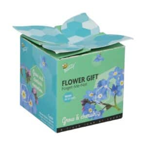 Buzzy® Flower Gift Forget-me-not