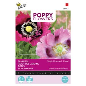 Buzzy® Poppy Flowers, Papaver Opium Poppy