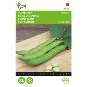 Buzzy® Broad Beans White Germination