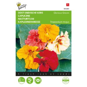 Buzzy® Tropaeolum, Nasturtium Glorious Gleam