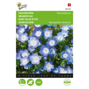 Buzzy® Nemophila, Hedge Flower Sky Blue