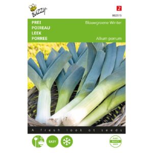 Buzzy® Leek Blue-Green Winter