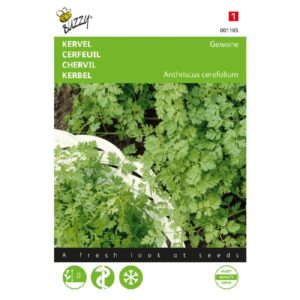 Buzzy® Chervil Common